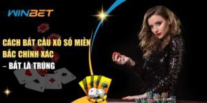 Cách bắt cầu xổ số miền bắc