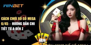 Cách chơi xổ số mega 6/45