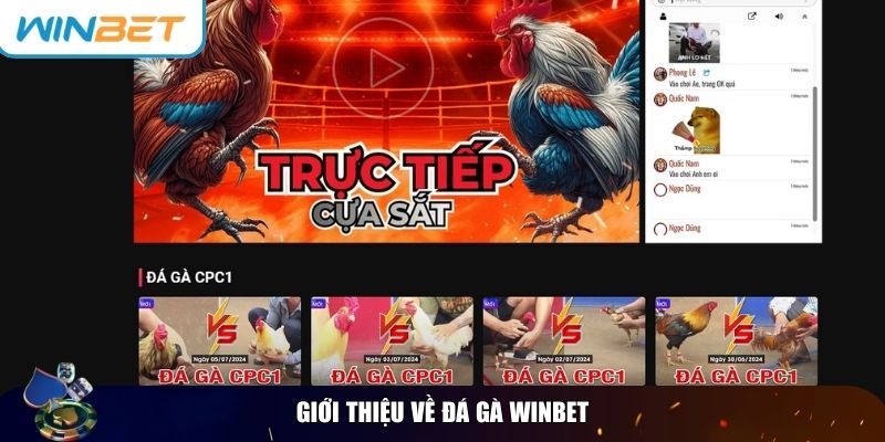 Đá gà Winbet trực tuyến là một trong những hình thức cá cược hấp dẫn