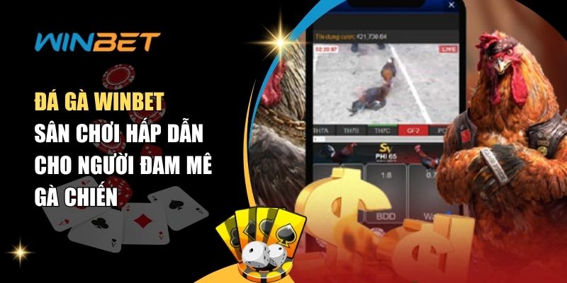 Những trận đấu hấp dẫn