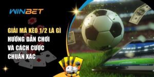 Kèo 1/2 Là Gì? Cách Đọc Kèo Chấp 0.5 Và Mẹo Cược Dễ Thắng