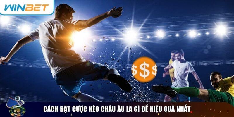 Những yếu tố quan trọng giúp bạn tăng tỷ lệ thắng khi chơi kèo Châu Âu