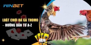 luật chơi đá gà thomo