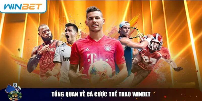 Winbet là nền tảng cá cược thể thao hàng đầu