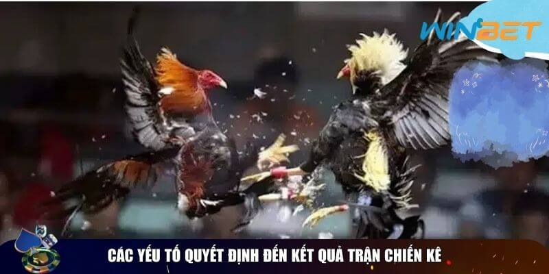 Các yếu tố quyết định đến kết quả trận chiến kê