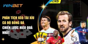 phan tich keo tai xiu ca do bong da chien luoc hieu qua nhat