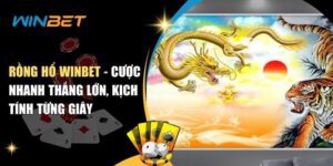 rồng hổ Winbet