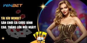 Tài xỉu Winbet